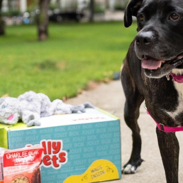 This sweet girl has officially been adopted! We’re celebrating with tippy tappies, happy tears, and a can of Aspire 🐾🎉 

Through our campaign with @anticruelty, @jollypets @charlee_bear_dogtreats  @hello.link and @bigbarkerusa, every adopted pup goes home with a tail-wagging pack of goodies (including some healthy energy for their new humans too 😉)

One doggie down, more to go, stay tuned as we spotlight a new adoptable dog each week - including a real cutie later today! 💫🤭
#Adopted #AspireEnergyDrinks #EnergyDrinks #fyp #RescueDog
